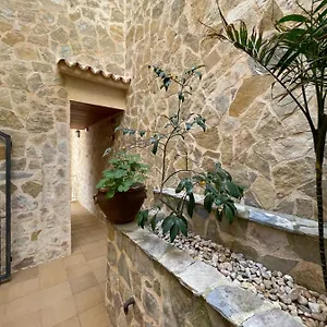 Gallu , Cala Ratjada (Mallorca) Spanien